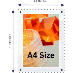 Acrylic Sandwich Display Sheet Board for Ads/Posters/Pictures/Information/Illustration/Hospitality/Home Decor, Size - A4 (8.3"x11.7") Pack of 1 Pc.